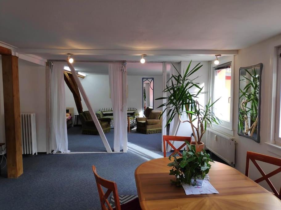 טריברג Grosse 130 M2 Gemuetliche Wohnung Im Herzen Tribergs מראה חיצוני תמונה