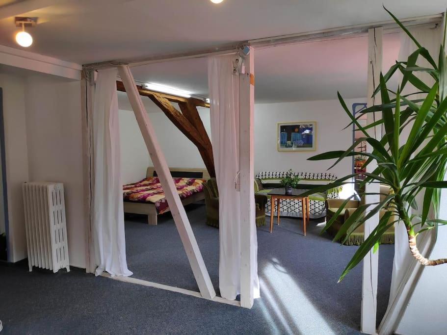 טריברג Grosse 130 M2 Gemuetliche Wohnung Im Herzen Tribergs מראה חיצוני תמונה